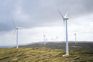 Grid Code compliance studies